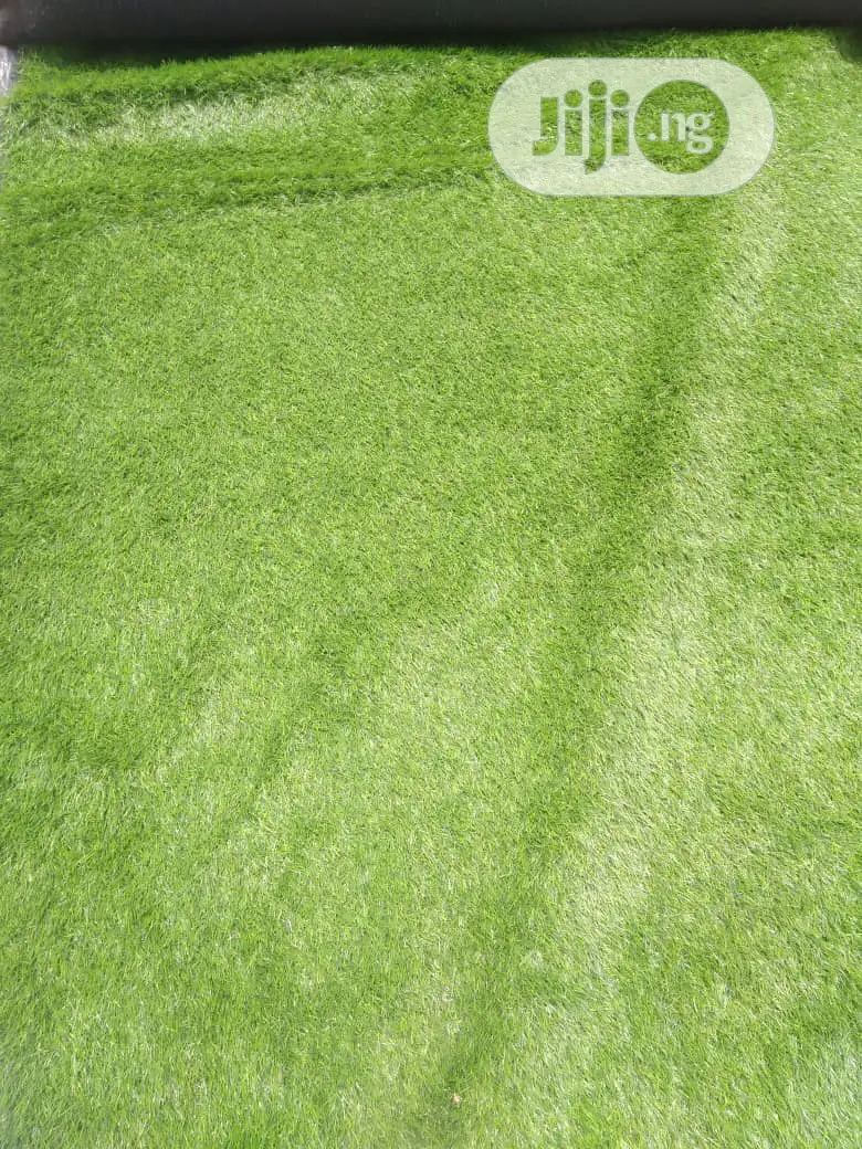 Quality Carpet Grass