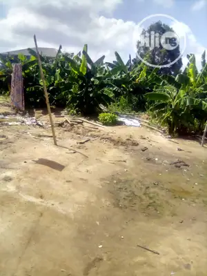 A Plot of Land With C of O at Hosana Estate Isolo for Sale