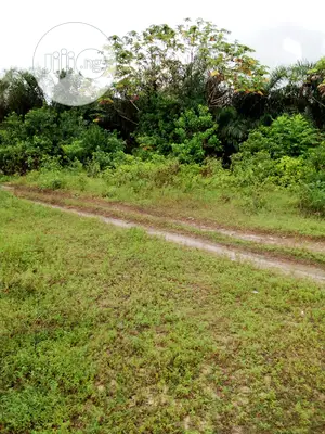 This Along Dangote Refinery Roads With Documents