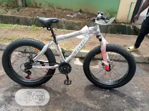 Fat Tyre Sport Bicycle