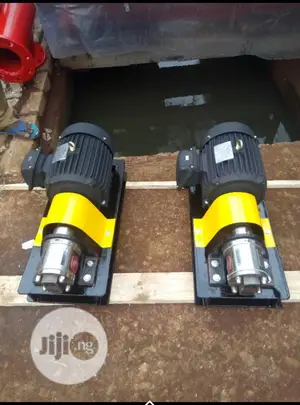 Stainless Steel Gear Pump