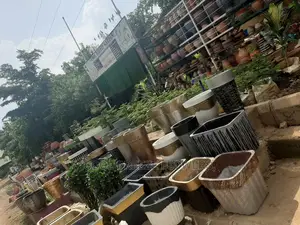 Flower Pots