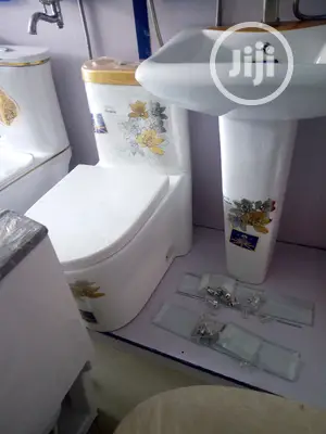 Executive Set With Good Flushing System