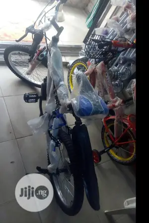 Adult Biscycle