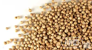 Coriander Seeds Lower Cholesterol and High Blood Sugar 250g