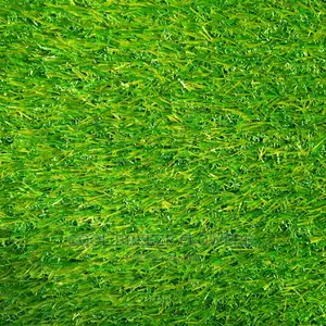 Lastest/ Quality Artificial Grass