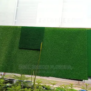 Lastest/ Quality Artificial Grass