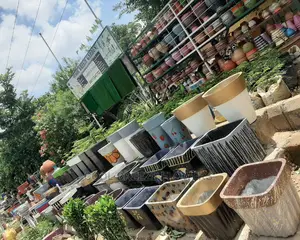 Concrete Flower Pots