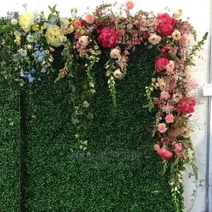 Wall Flowers And Roses