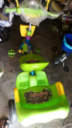 Children Tricycle With Carria
