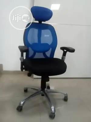 A Unique Executive Mesh Chair