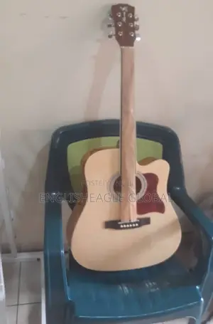 Professional Acoustic Guitar
