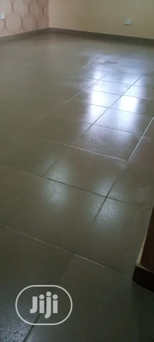 Professional Cleaning Services and Pos Constriction Cleanin
