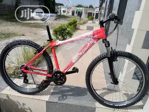 California Sport Bicycle