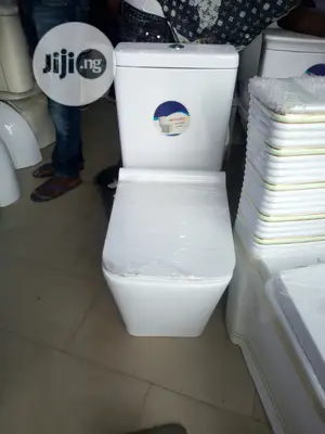 Big W/C With the Basin and Pedestal