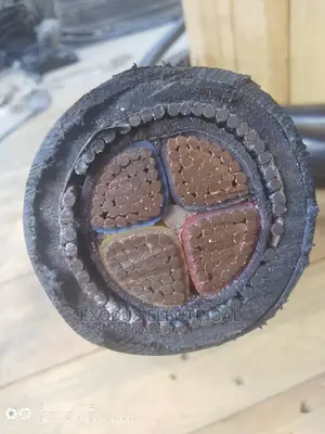 Coleman Armored Cables 150mm X4 Core