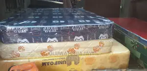 4.5by6by8 Sanwo Economy