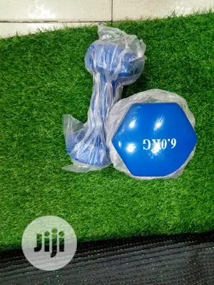6kg Dumbbell