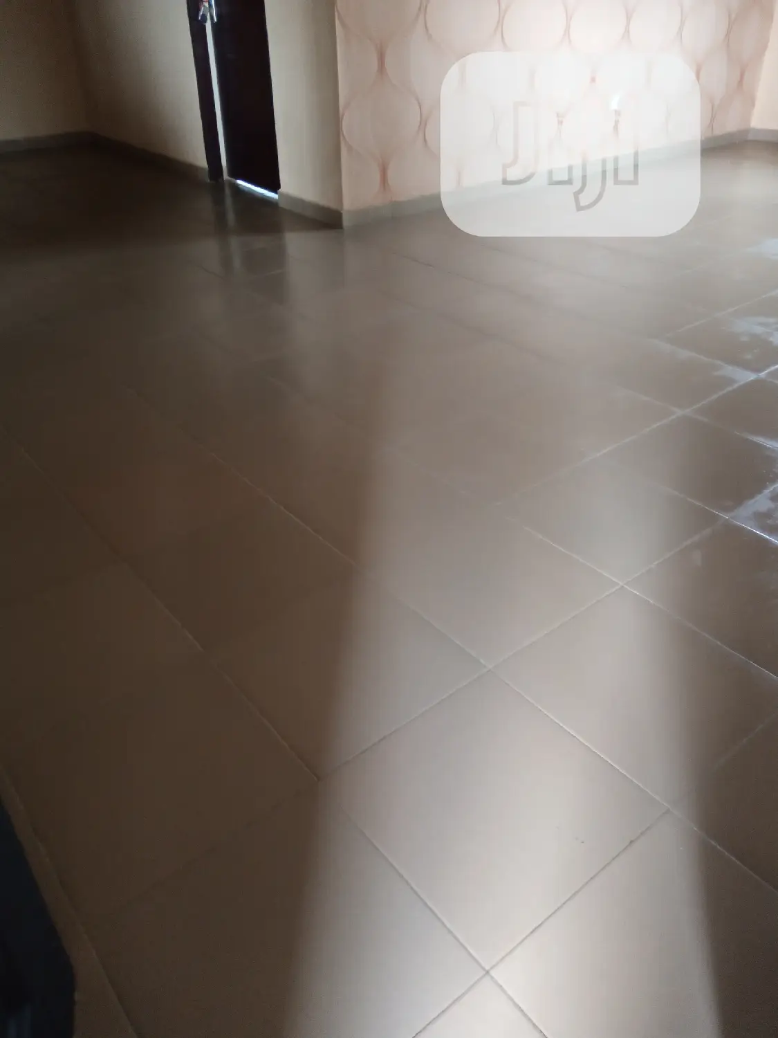 Professional Cleaning Services