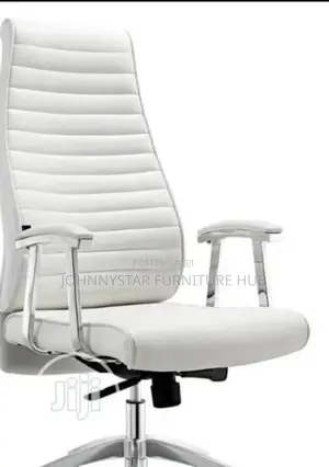 Italian Unique Executive Office Chairs