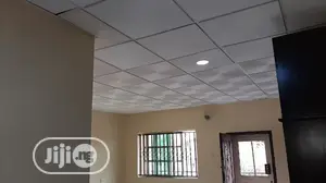 Pop Suspended Ceiling Drop