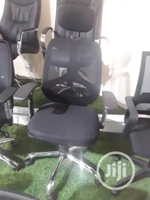 Executive Office Net Chair