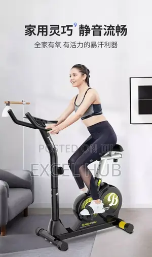 Commercial Pooboo Upright Bike