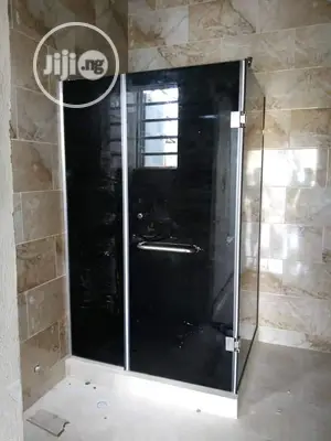 Frameless Glass Toilet Door