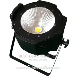 Cob Led Par Light