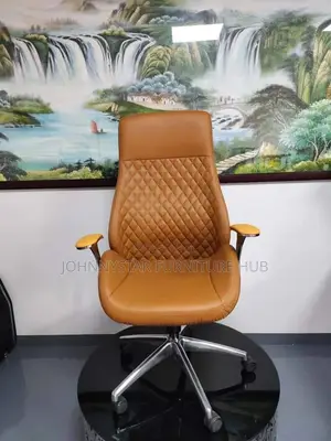 Italian Unique Executive Office Chairs