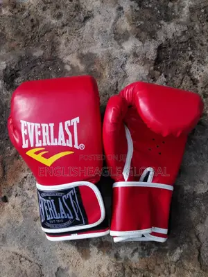 Boxing Glove in Pair