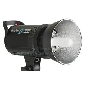 Godox DE 300 Studio Strobe Light (2pcs) + Stands + Umbrellas