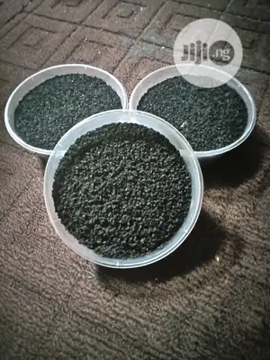 Black Seeds - Kg