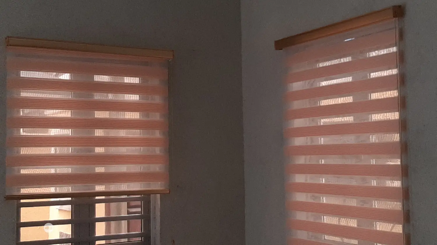 Blinds Windows