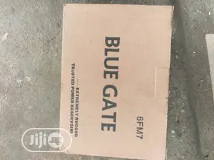 UPS Battery Blue Gate