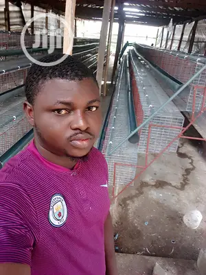 Poultry Fabricated