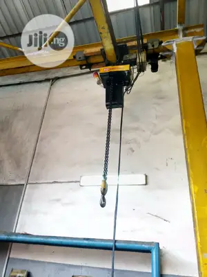 5 Tons Electric Overhead Hoist for Sale