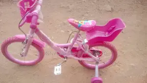 Children Size 20 Bicycle
