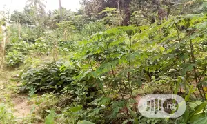 43.9 Hectares of Land for Masshousing Rofo in Process N5B