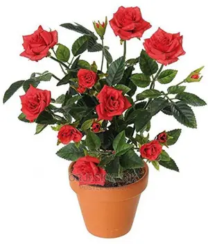 Artificial Flower Plant