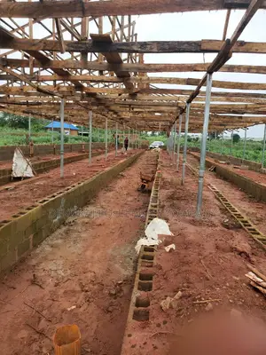 We 10,000 Birds Pen House With Imported Cage,Camera For ₦24m