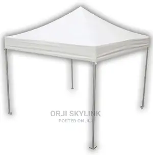 10 by 10 Canopy Tent
