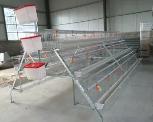 Dekoraj 120 Birds Imported High Quality Battery Cage