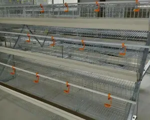 Premium 96 Quality Galvanized Imported Cage for Farmers