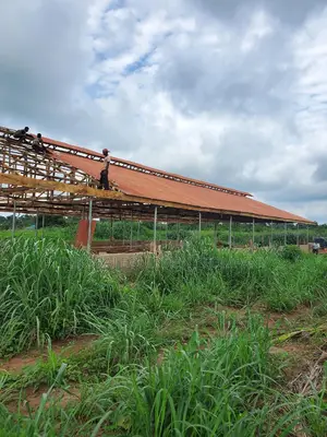 We Build Poultry Pen Structure for Birds With Cages at ₦40M