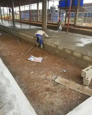 Standard 10,000 Poultry Setup With Imported Cage
