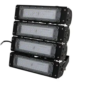 High Wattage Flood Light.