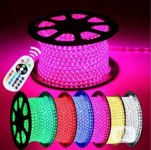 LED Rope Light