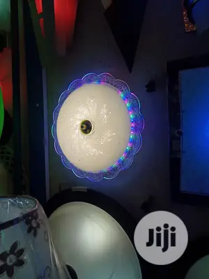 Crystal Ceiling Light