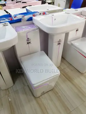 Quality Toilet Seat and Basin Set
